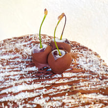 Load image into Gallery viewer, CHERRY-CHOC COCONUT CAKE (aka CHERRY RIPE)